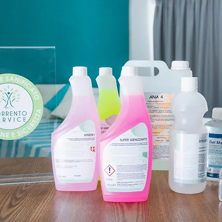 Sorrentovibes - Conny's House Appartement *